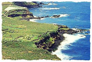 Blick auf die Kste westlich von Puerto de la Cruz